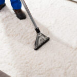 Area Rug Cleaning Myths and Facts Explained